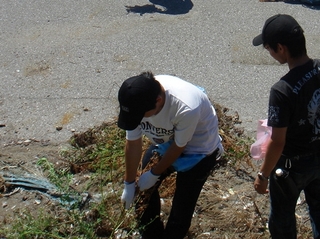 DSC04934-2.jpg